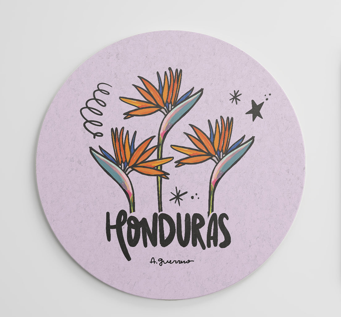 Honduran Coaster